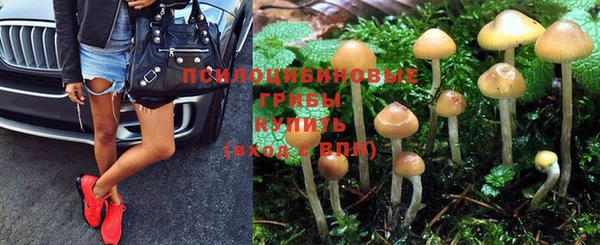 MDMA Богородск