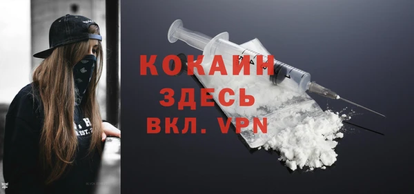 прущий лед Бородино
