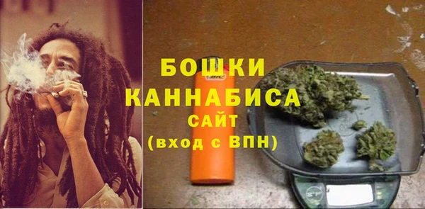бошки Богданович