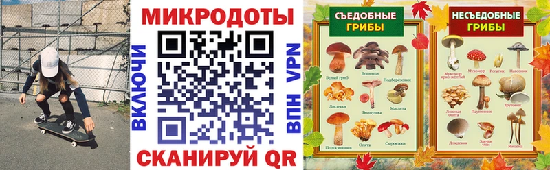 Псилоцибиновые грибы мухоморы Балей